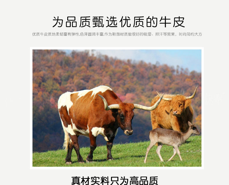 3 --- copy_01.jpg