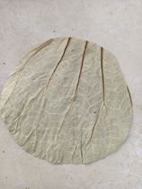 Weishan Lake dried lotus leaves sliced ​​into round 18 cm pieces to make lotus leaf steamed rice wooden barrel rice steamed rice round lotus leaves