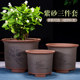 Yixing purple sand ceramic flower pot orchid large diameter ceramic special green plant pot personality simple Clivia pot