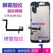 Applicable to IPHONE8 Apple 7th generation SE2 screen 3D fingerprint recognition PLUS extension cable HOME button P repair