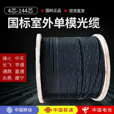 Outdoor cable armored 4 8 12 96 144 core national standard outdoor long flying Tong Ding beacon fire Hengtong Zhongtian GYTAS