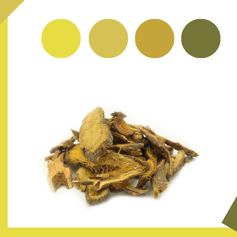 Knotweed traditional dyeing grass and wood dyeing plant dyeing diy material natural plant dye green environmental protection