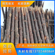 2 m 2 m 6 m Piling Wood Pile Pine Wood Pile Fence Pine Pile Forest Yard Straight