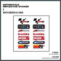 Rs006 【rephond -lavana】