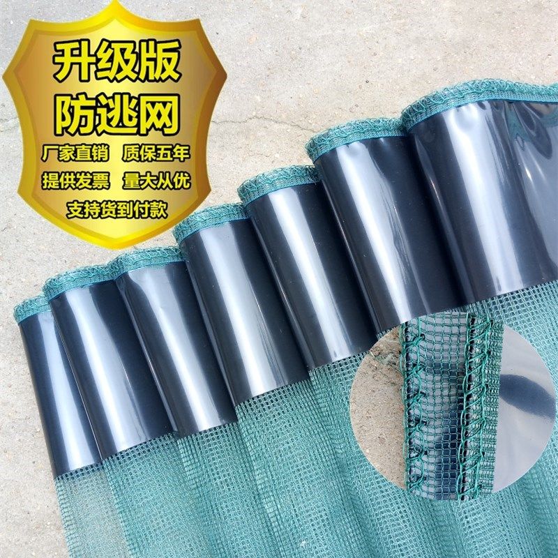 Set to make 10 mesh loach yellow eel frog crab A fish small lobster anti-escape mesh cloth Thickened Anti-Escape Film Breeding Cage