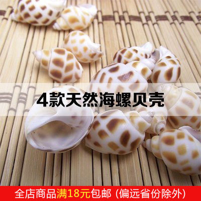 Micro Landscape Pendulum AQUARIUM FISH TANK BOTTOM DECORATION NATURAL SMALL SEA SNAIL SHELLS LIGHT GRAIN SCREW DONGFENG SNAIL CORN SNAILS