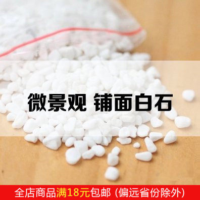 Paved Little White Stone Multimeat Plant Moss Microscape Potted Flowers Hydroponic Plant Decoration Small Pebble Fish Tank Stone