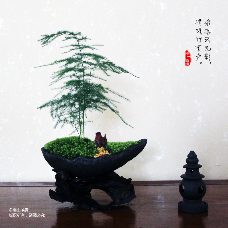 Creative moss microlandscape ship purple sand bamboo Japanese Zen Chinese pot - pot tea ceremony pot - out gift