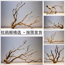 Rhododendron roots sunken wood branches tree-shaped skeleton fish tank landscaping tree roots and stumps fine trumpet Moss tree natural flower arrangement