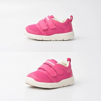 Lu8c2465 Rose Red