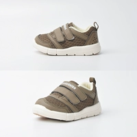Lu8c2465 Brown/Anity Green