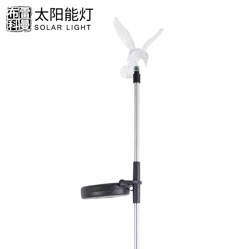 ���׿���̫���ܷ����߲ʱ�ɫ��ƺ�� C0001FN