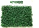 Bán trực tiếp cỏ giả trong nhà với hoa nhựa cỏ mô phỏng cây xanh tường cao cỏ mã hóa ban công trang trí sân cỏ nhân tạo - Hoa nhân tạo / Cây / Trái cây