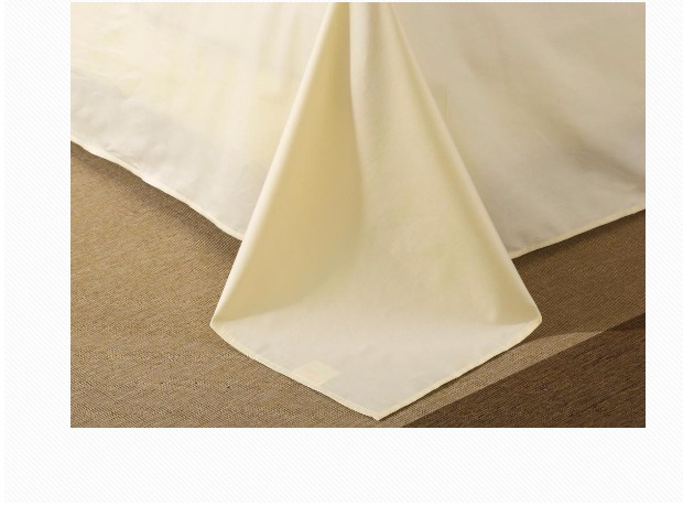 Chất liệu cotton chính hãng cotton trắng giường đơn màu trắng giường đôi 1,5m giường 1,8m nửa giá nửa - Khăn trải giường ga giường