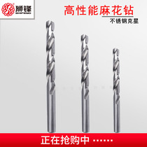 Lion Front Precision Drill Drill 1 41 1 42 1 43 1 44 1 45 1 46 1 47 1 48 1 49