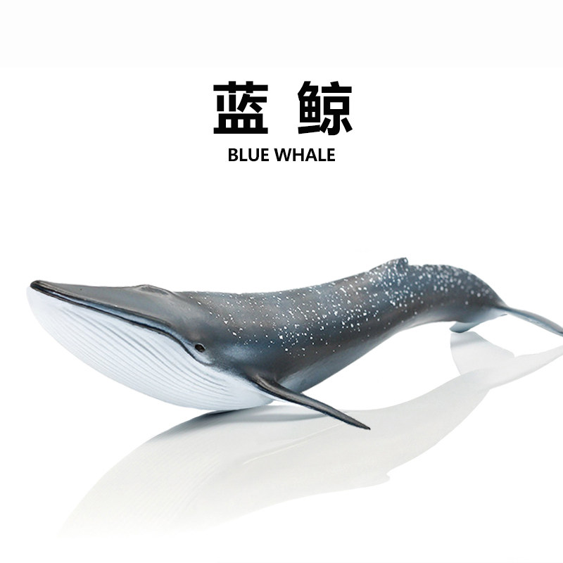 Children emulation large number solid PVC plastic blue whale model marine life blue whale animal static pendulum