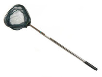 Shenyan stainless steel small copy Net 1 m 1 5 m children fishing small fish shrimp telescopic folding dense fine net small Net Net Net pocket