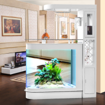 Modern simple wine cabinet type bullet fish tank Entrance living room Household medium and large floor-to-ceiling ecological glass fish tank