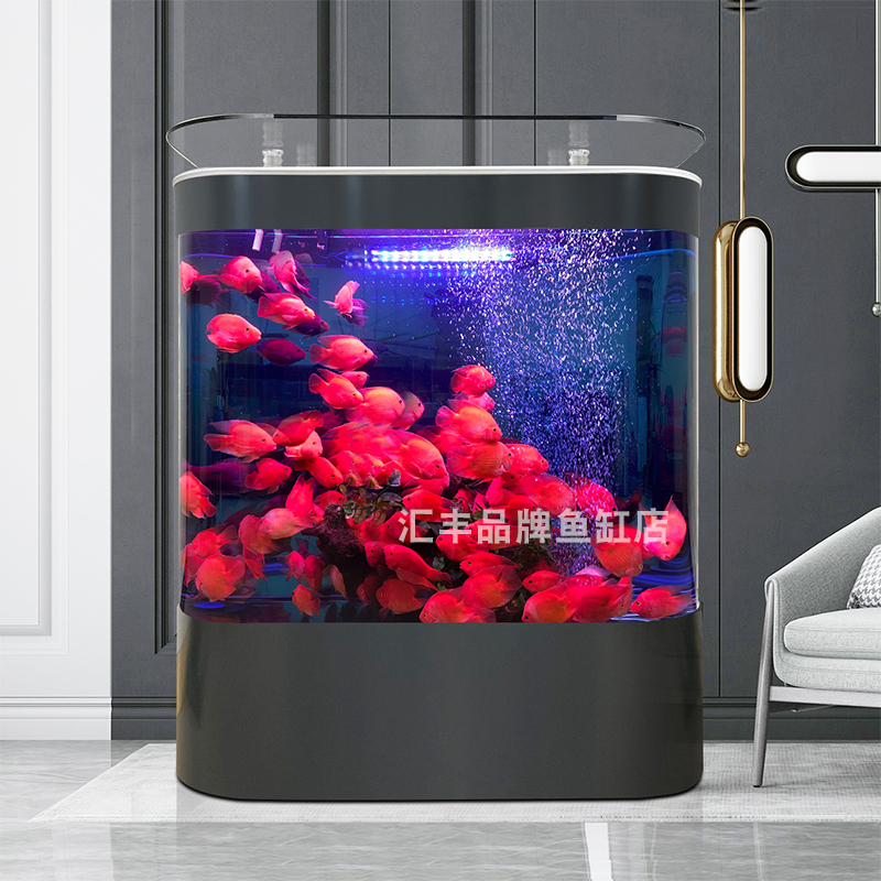 家庭用水なし水槽リビングルーム2025新しいリビングルーム一体型床置き型小型怠惰な全自動水槽