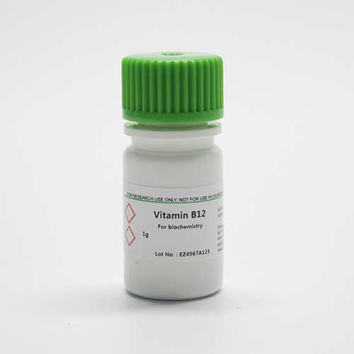 BioFroxx 1243GR001 维生素B12 Vitamin   1g/瓶