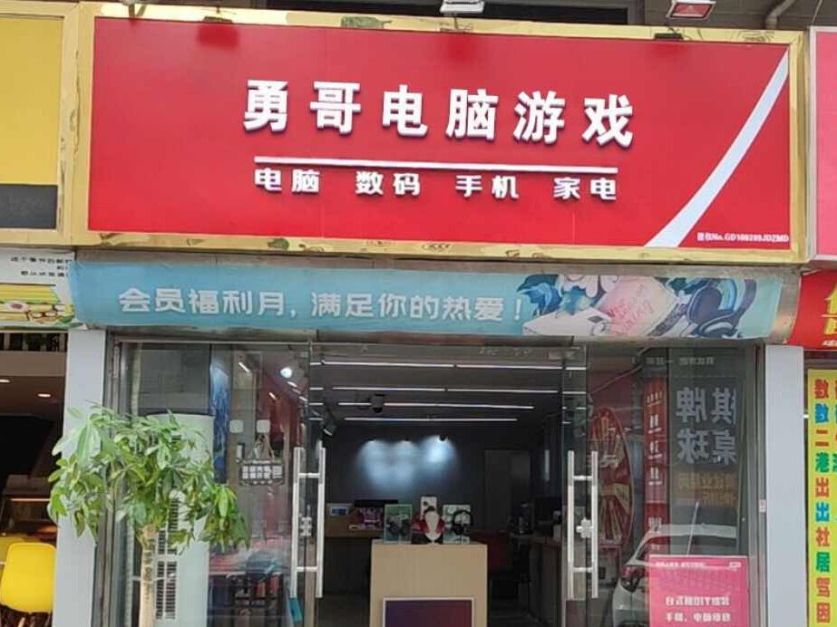勇哥电脑游戏