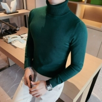 Темно -зеленая высокая шея