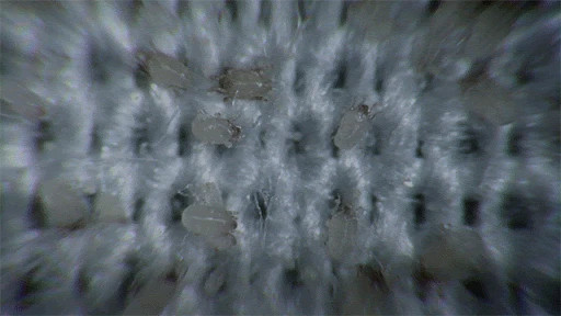 DM_20260408170733_007.jpg