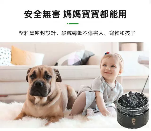 13.webp
