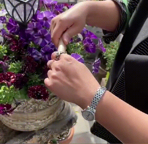 09.gif