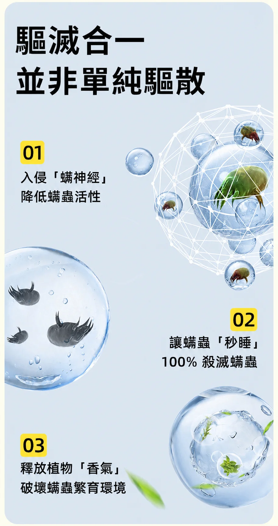 08.webp