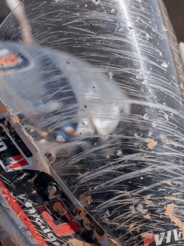 DM_20260630160915_017.gif
