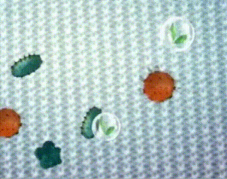DM_20260530112858_013.gif