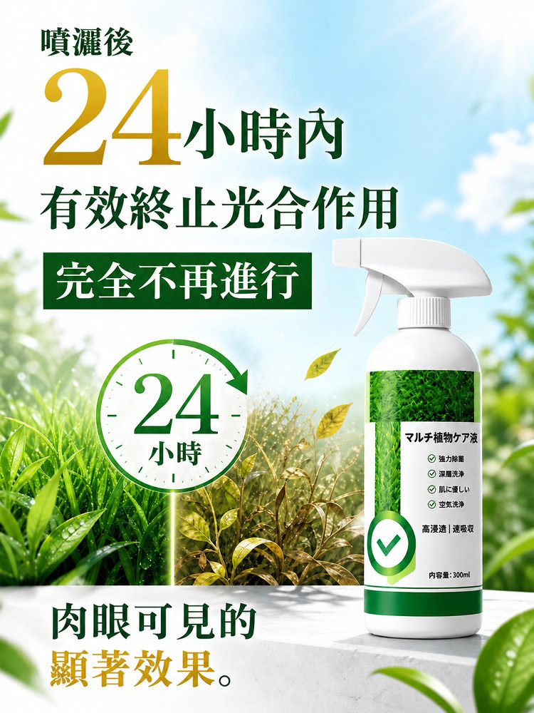 详情03.jpg
