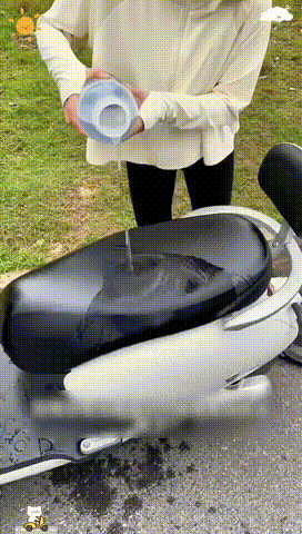 17.gif
