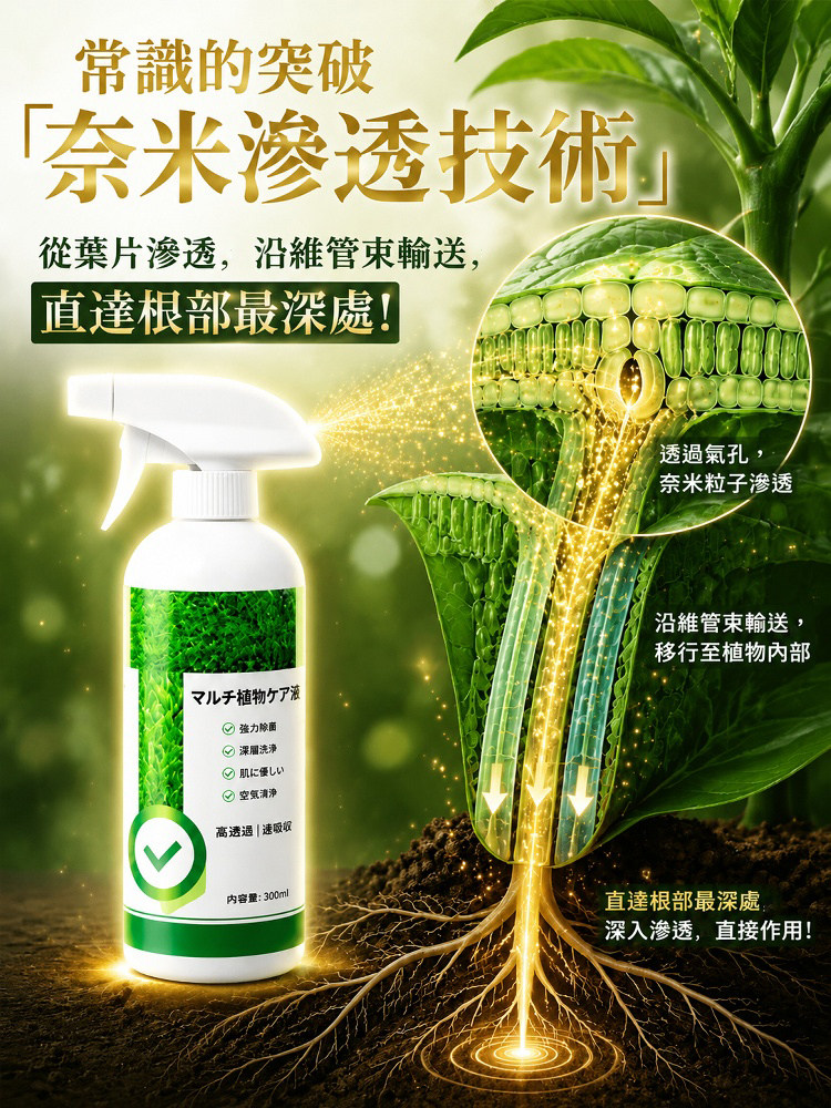 详情01.jpg