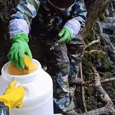 DM_20260506164731_010.gif