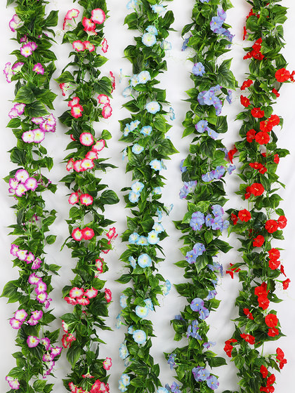 仿真藤条牵牛花绿叶装饰假树叶吊顶绿藤蔓塑料花藤水管道遮挡空调