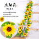 Simulated sunflower sunflower vine ຫວາຍທຽມດອກໄມ້ indoor vine ເຄື່ອງປັບອາກາດທໍ່ນ້ໍາ winding ອອກແບບດອກໄມ້ພາດສະຕິກ