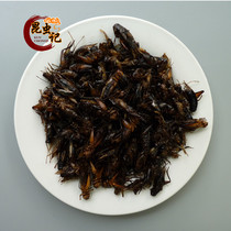  Edible insects fried crickets Edible insects crickets Oil gourd crickets 50 grams of insect notes
