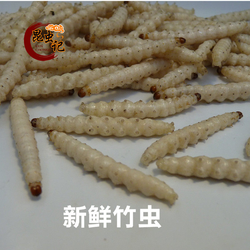 Fresh bamboo worms edible insects stick insects bamboo bee worms shoot insects sweet and fragrant edible insects gourmet fresh delivery