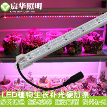 LED plant growth fleshy light red blue color greenhouse vegetables and fruits LED hard light bar low pressure 12V