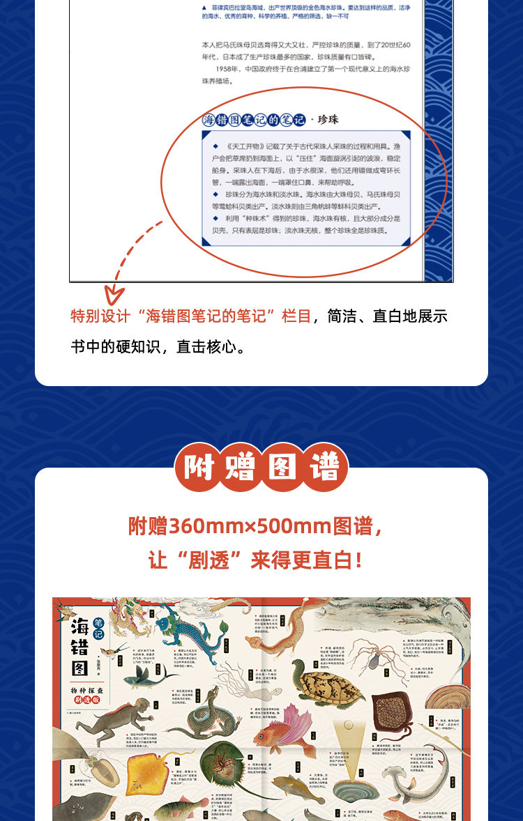 博物君出品 《海错图笔记·青少版》天猫优惠券折后¥35.9包邮 赠超大幅物种探索图谱