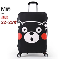 Черный медведь м