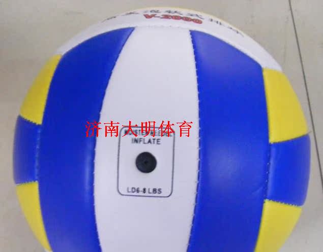 Ballon de volley - Ref 2012175 Image 4