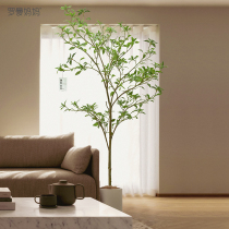 Roman Mama Ma Zuimu simulé plante verte aménagement paysager arbre plante bionique ornements décoratifs lumière intérieure luxe faux arbre sur pied