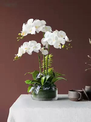 Roman mother PU feel simulation Phalaenopsis potted set high-end fake flower living room store porch flowers