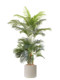 Roman's Mother's Artificial Sugarcane Palm Tree, Large Fake Green Plant, Bionic Plant Potted Plant, Tv Cabinet, Mall Decoration