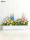 Indoor and Outdoor Flower Boxes, Simulated Plants for Decoration, Restaurant Balcony Partitions, Artificial Floral Art, Landscape Decoration, Green Plant Landscaping