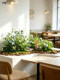 Mountain-Style Simulated Green Plants, Artificial Flowers, Plant Floor Arrangements, Office Window Scene Decoration, Floral Arrangements