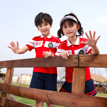 Kindergarten Garden Suit Summer Clothing Sportswear Children Pure Cotton Summer Short Sleeve Suit Graduation Photos Attire School Uniforms